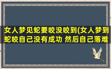 女人梦见蛇要咬没咬到(女人梦到蛇咬自己没有成功 然后自己落难了)